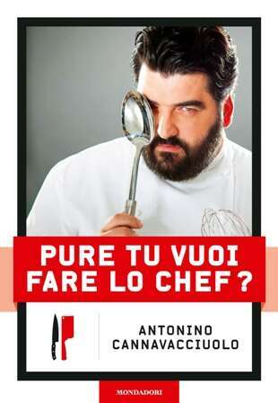 pure_tu_vuoi_fare_lo_chef_storia_2.jpg