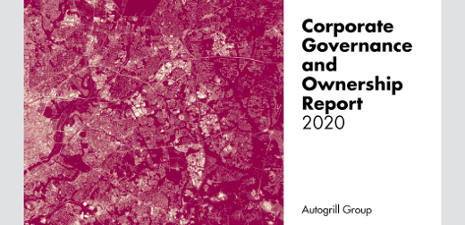 corporate_governance-en.png