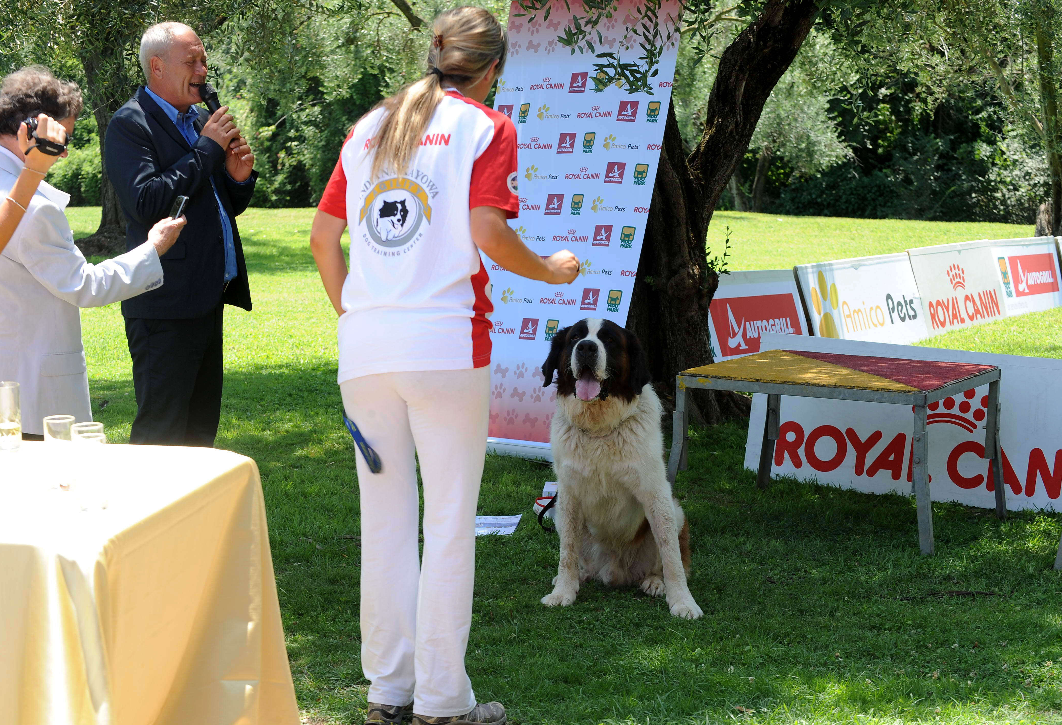 Fido sales park royal