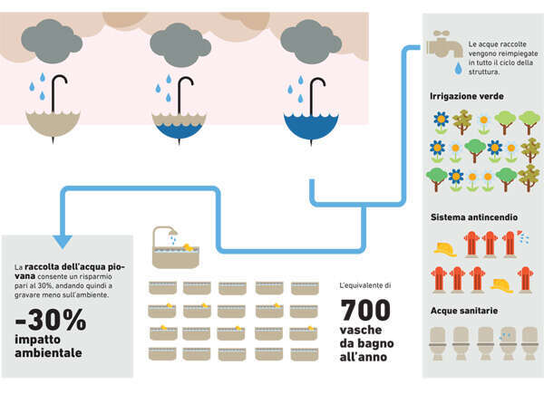 infographic3.jpg